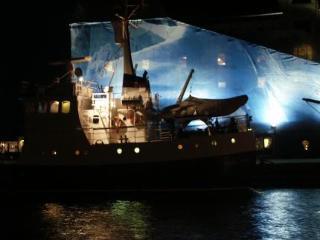Arctic Janus København